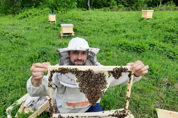 В Коми действуют 45 пчеловодческих хозяйств

