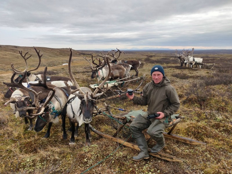 Хозяйства Коми закупили 20 беспилотников для мониторинга оленьих стад