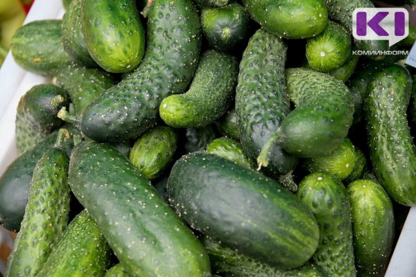Огурцы в Коми за неделю подешевели на 13,7%