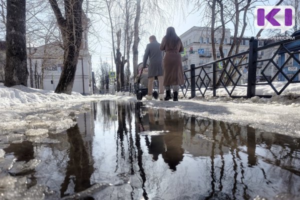 Погода в Коми 20 марта: небольшие осадки, в Воркутинском районе сильный снег