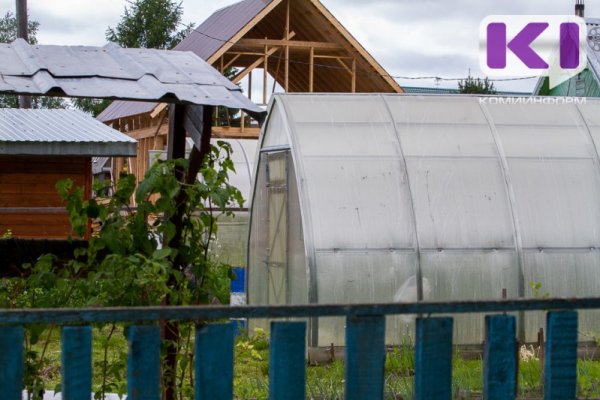 Какие растения подходят для ранней высадки в теплицу, рассказал Россельхозцентр Коми