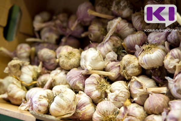 Весенняя посадка чеснока в апреле: Россельхозцентр советует начинать при +5...+7 °C
