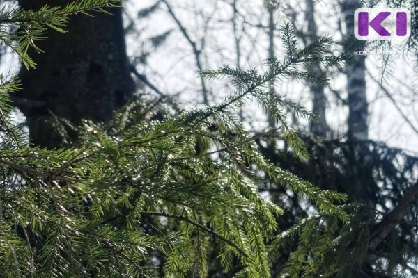 Погода в Коми 23 марта: днем +8...+13°С, в Воркуте 0...-5°С