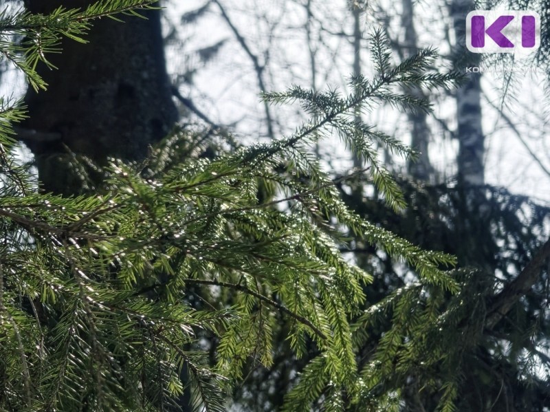 Погода в Коми 23 марта: днем +8...+13°С, в Воркуте 0...-5°С