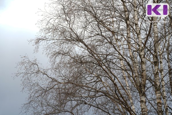 Погода в Коми 25 марта: преимущественно без осадков, в Воркутинском районе небольшой снег