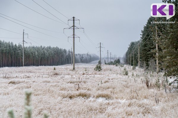 Энергетики восстанавливают электроснабжение части Удорского района