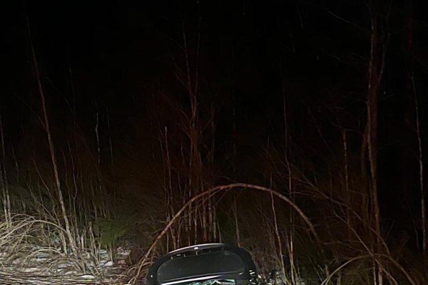 Нетрезвый водитель устроил ДТП на трассе 