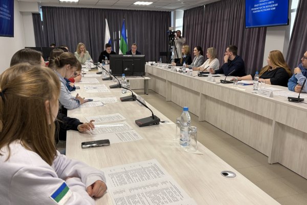 Общественный совет при Минмолодёжи Коми утвердил план работы и определил новый формат деятельности