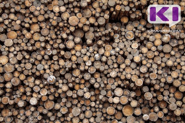 Компания из Ирака обратилась в Арбитражный суд Коми для защиты своих прав 