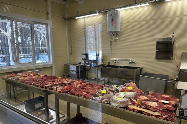 В Корткеросском районе открыли убойный пункт с цехом переработки