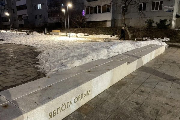 Сыктывкарская Яблоневая аллея осталась без яблок