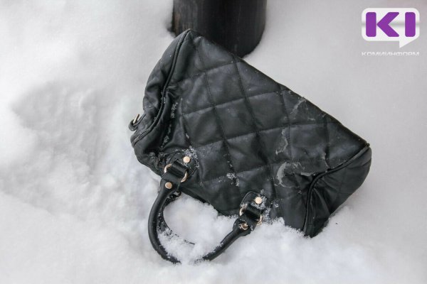 В Сыктывкаре полицейские вернули пенсионерке украденную сумку