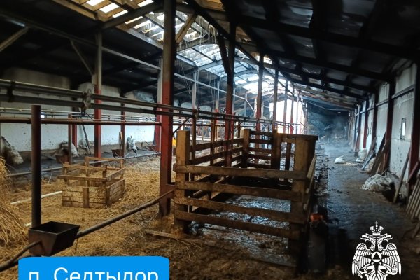 Пожар на ферме в Койгородском районе привел к гибели трёх коров