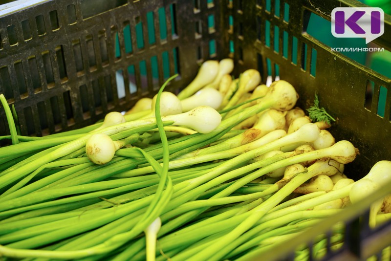 Как подготовить лук-севок к посадке - Россельхозцентр дал рекомендации 