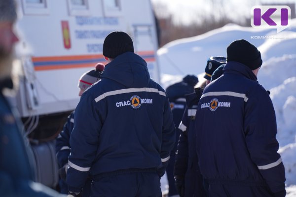 В Печоре спасатели выкопали ребенка из сугроба 