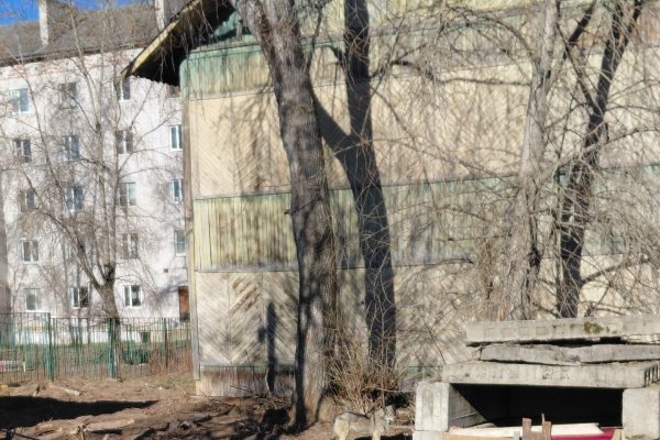 В Усть-Вымском районе укушенных собаками граждан становится больше