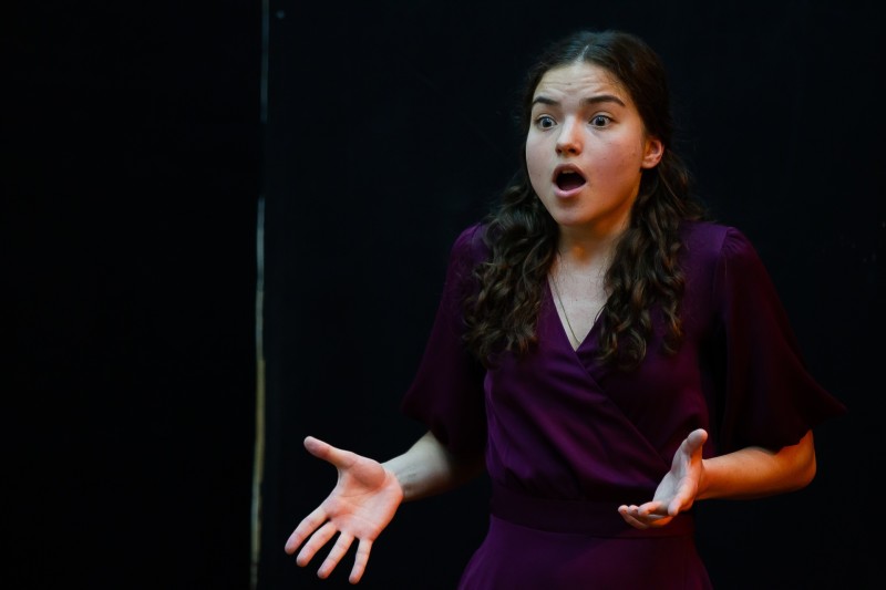 Юных артистов Коми ждут на онлайн-отборе в ГИТИС