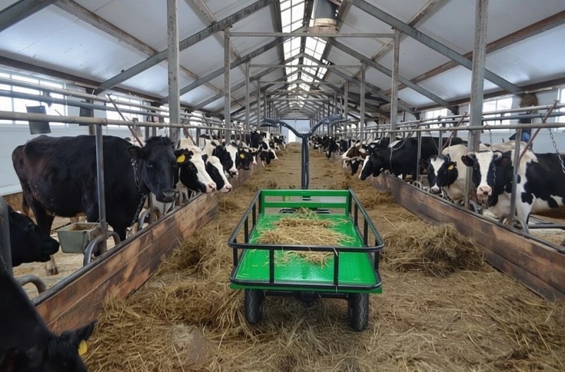 Перезагрузка: в Коми построят 6 животноводческих комплексов