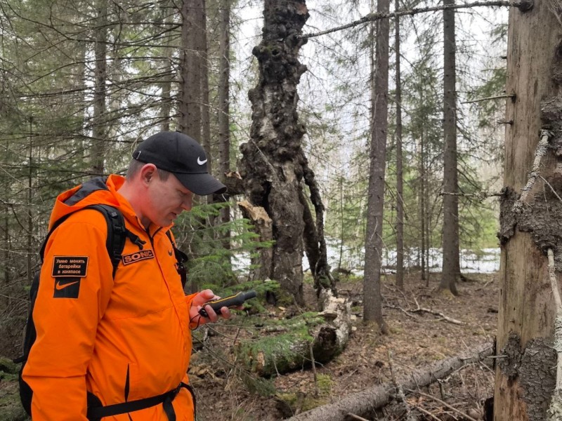 В марте волонтеры "ЛизаАлерт" искали в Коми 11 пропавших