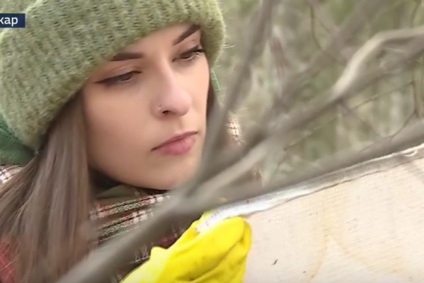 Белое полотно против кровососов: биолог из Коми раскрыла неожиданный способ защиты участка от клещей