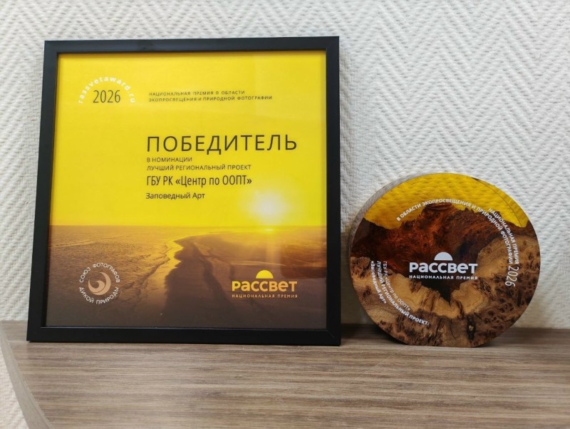 Культурно-просветительский проект из Коми победил в Национальной премии "Рассвет"