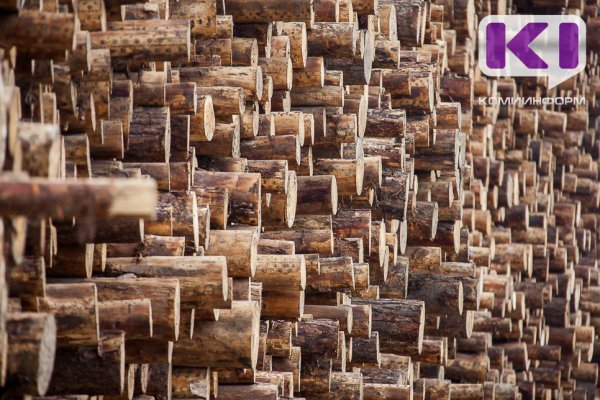 Россельхознадзор досмотрел более 325 тысяч кубометров лесопродукции на экспорт из Коми

