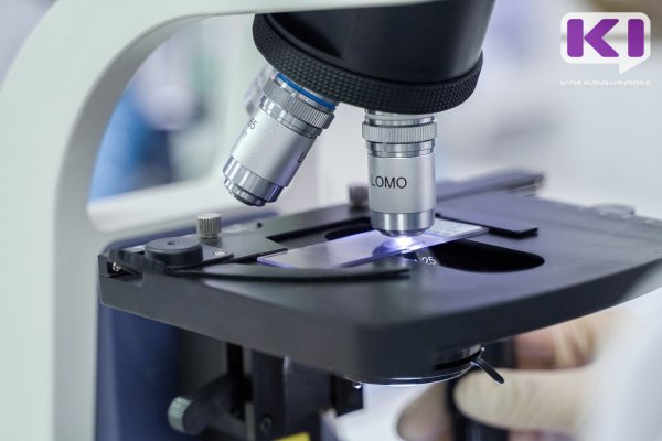 Заболеваемость сальмонеллезом в Коми выросла в три раза за первый квартал