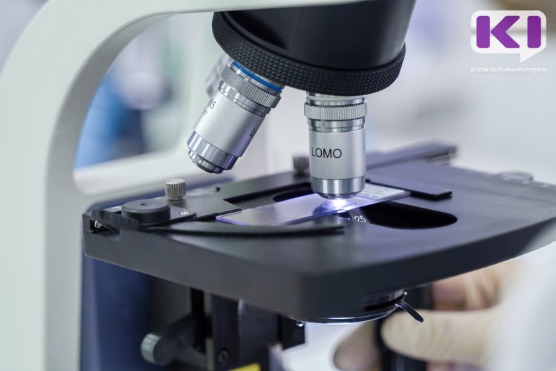 Заболеваемость сальмонеллезом в Коми выросла в три раза за первый квартал