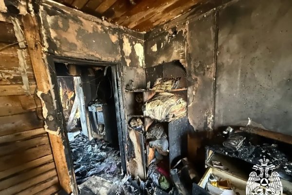 14 погибших и 273 пожара: МЧС по Коми зафиксировало рост возгораний с начала года