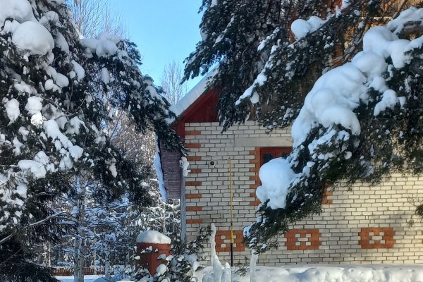 Сотрудники 