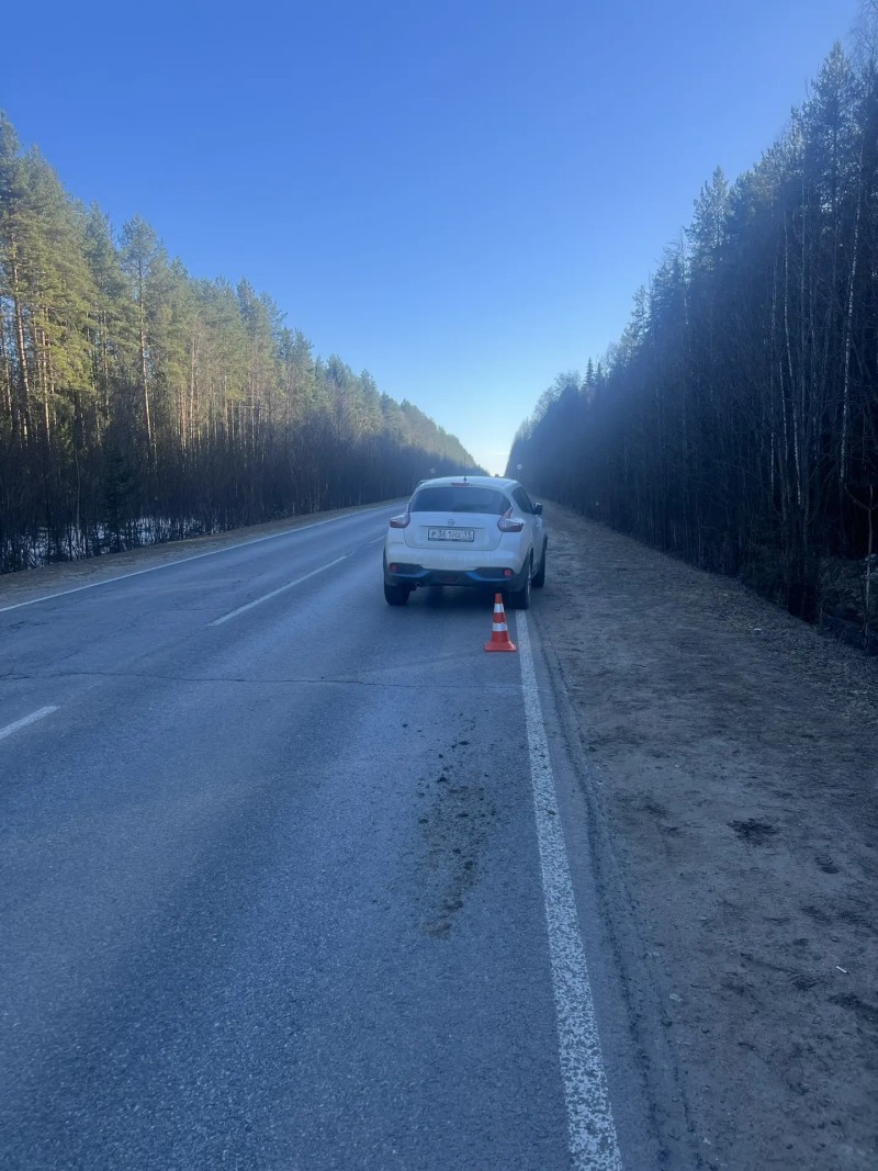 Под Сыктывкаром водитель Nissan наехала на пешехода, который шел по краю дороги
