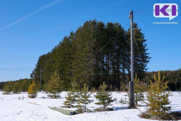 В г.Микунь нашли опоры с незаконно размещенными линиями связи