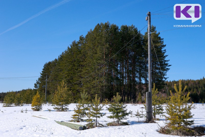 В г.Микунь нашли опоры с незаконно размещенными линиями связи