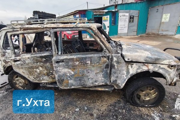 В Коми за сутки сгорели дача и автомобиль