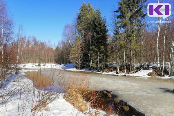 Погода в Коми 21 апреля: +3...+5°С, на юге - снег с дождем