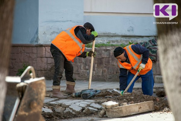 В Коми запретили нанимать иностранцев по патентам в торговле, транспорте и образовании
