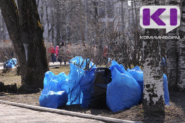 Сделаем город чище: сыктывкарцев зовут на масштабный семейный субботник