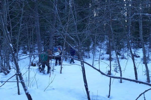 В Троицко-Печорске рыбаки потерялись в лесу из-за снегопада 