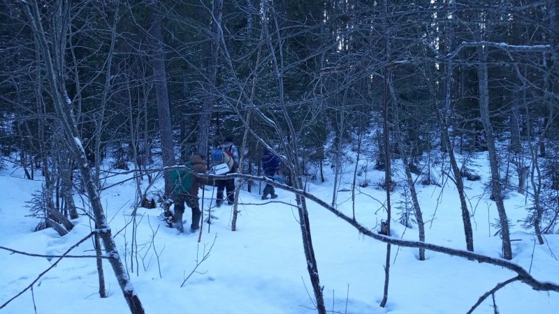 В Троицко-Печорске рыбаки потерялись в лесу из-за снегопада 