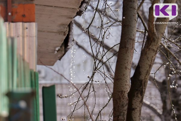 Погода в Коми 25 апреля: мокрый снег, дождь, местами гроза