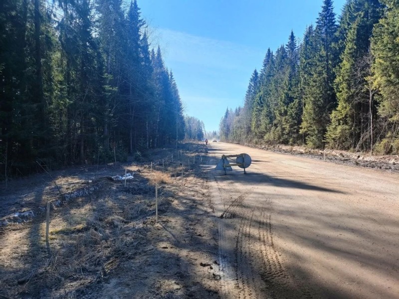 В Сыктывкаре из-за ремонта временно перекроют дорогу к Дырносским дачам