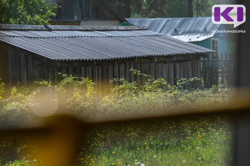 Весенний уход за малиной - Россельхозцентр советует начинать обрезку сразу после таяния снега 