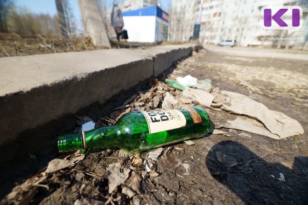 77% сыктывкарцев поддерживают высокие штрафы за выброс мусора из машин 

