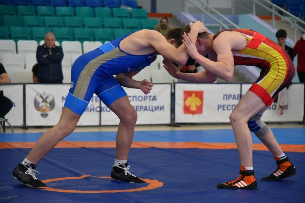 Около 70 спортсменов соберутся на турнир по вольной борьбе в Сыктывкаре