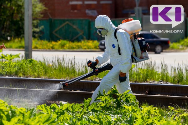 В Коми до 2030 года планируется очистить  от борщевика 800 га