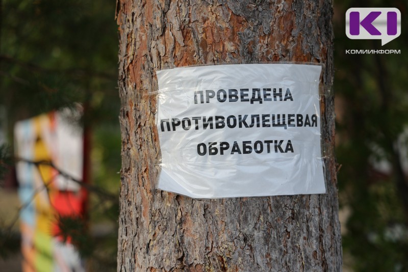 Почти 430 тысяч квадратных метров обработают от клещей в Сыктывкаре в этом году