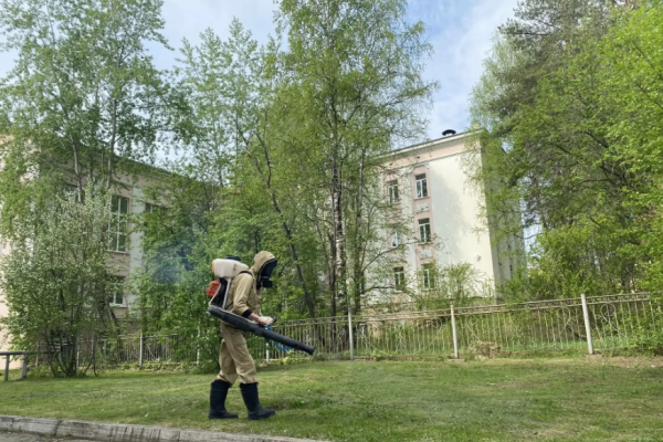 В Ухте стартовала противоклещевая обработка
