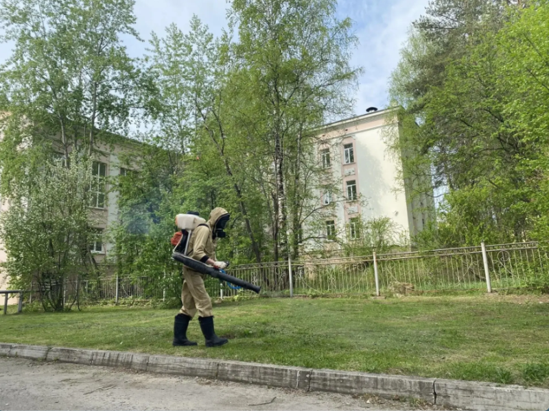 В Ухте стартовала противоклещевая обработка