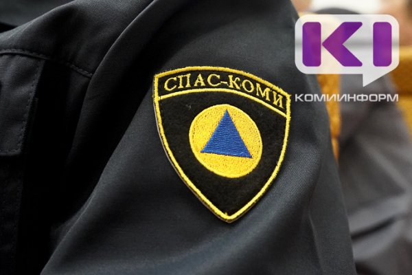 Пункт выдачи Wildberries в Сыктывкаре вызвал спасателей 