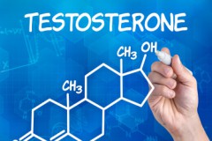Что такое тестостерон и за что отвечает указанный гормон